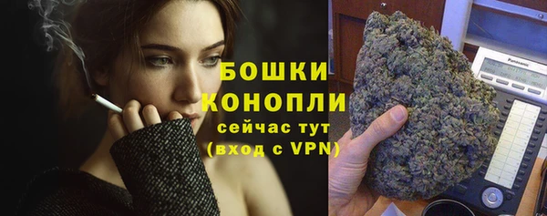 СК Бронницы